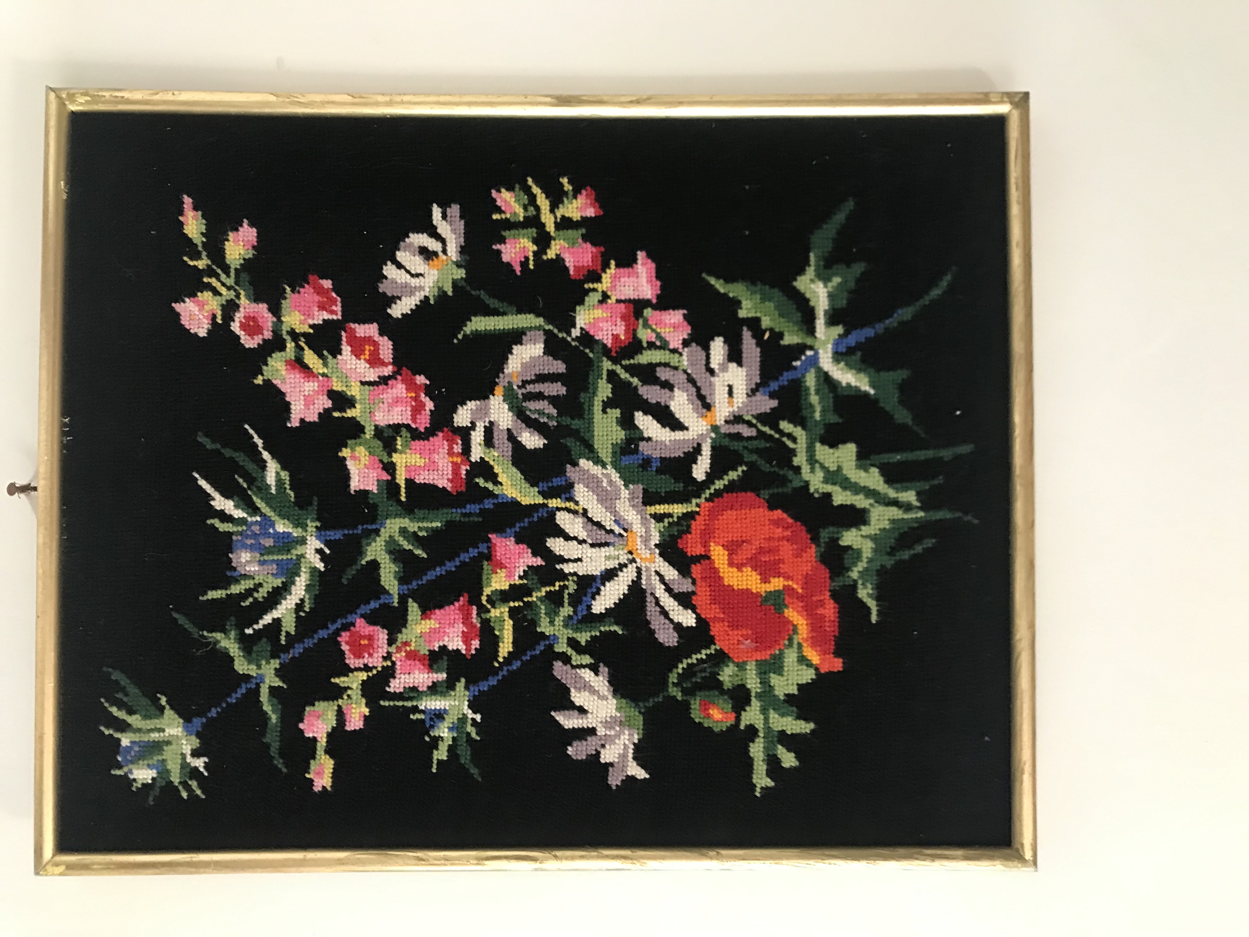 2023-08-16 11.40.13.jpg